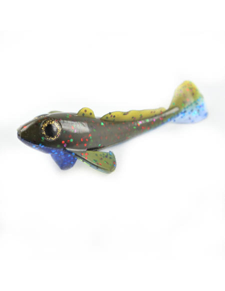 https://www.fishstanley.com/wp-content/uploads/2018/10/Goby-Profile-Picture-Resized.png